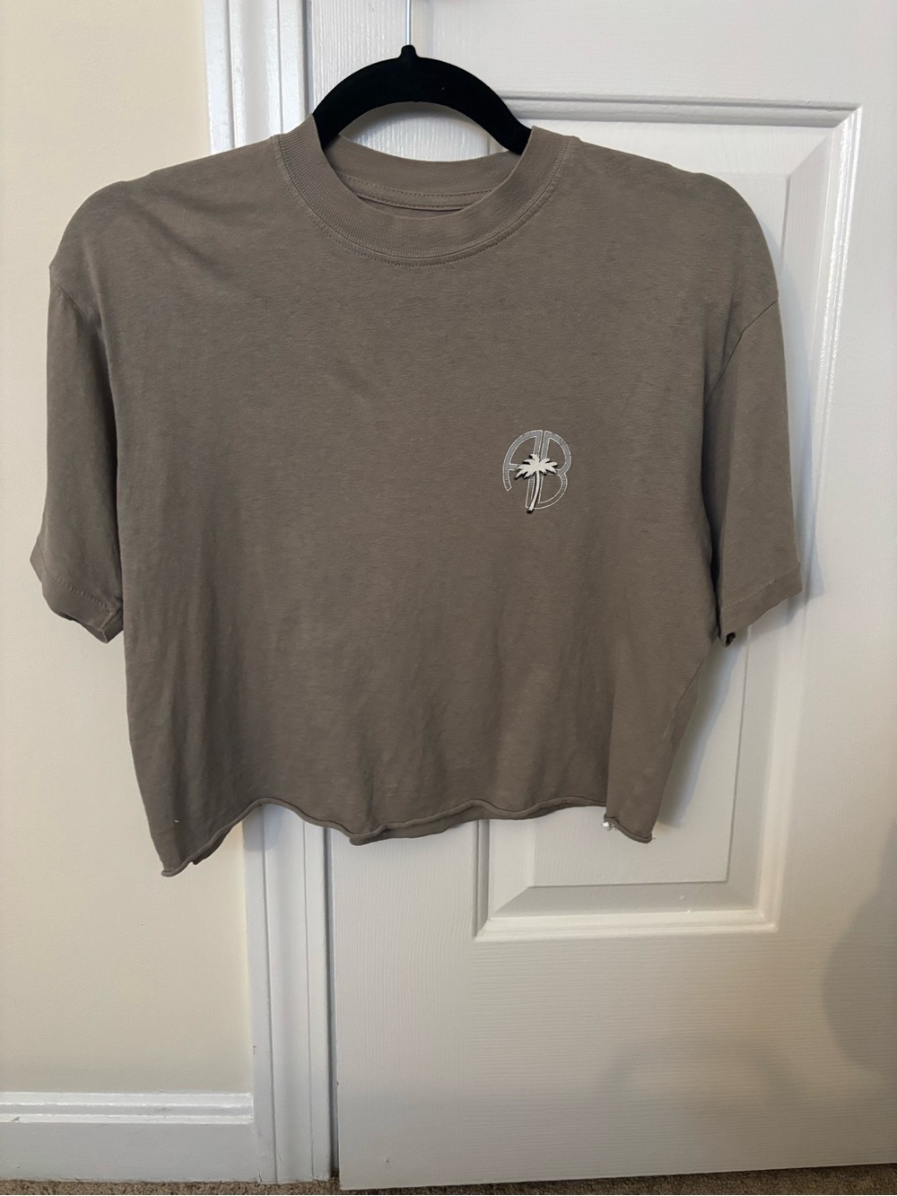Anine Bing Taupe Crewneck Tee